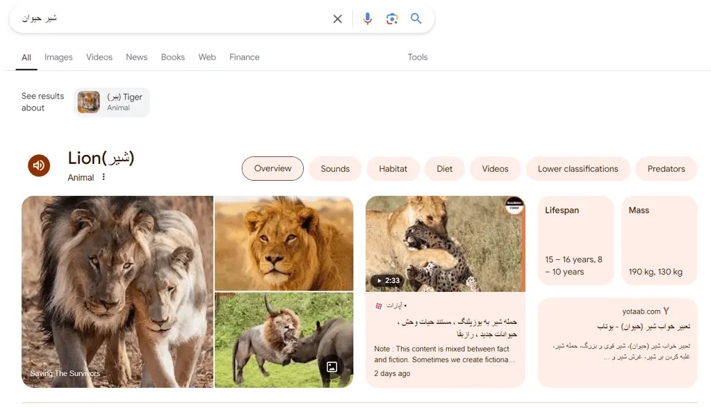 سرچ کلمه حیوان شیر در گوگل